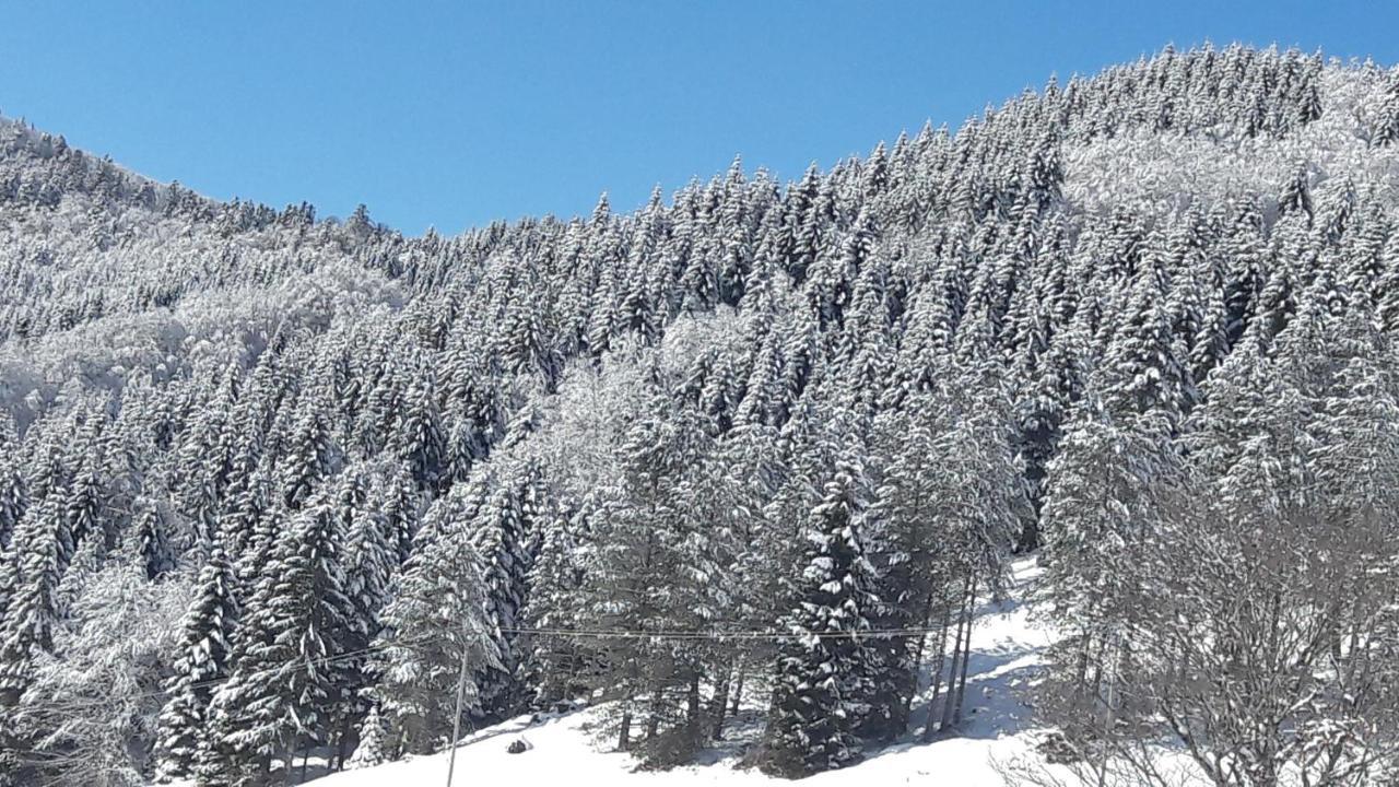 Le Balcon Des Cimes B&B Adast Екстериор снимка