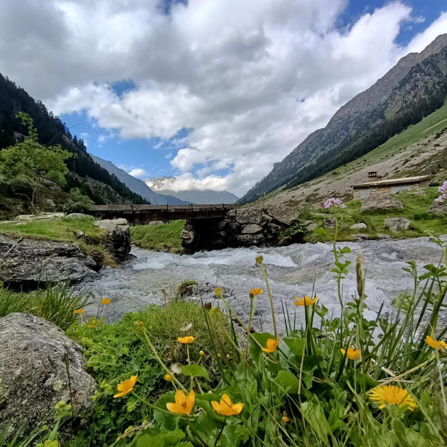 Le Balcon Des Cimes B&B Adast Екстериор снимка