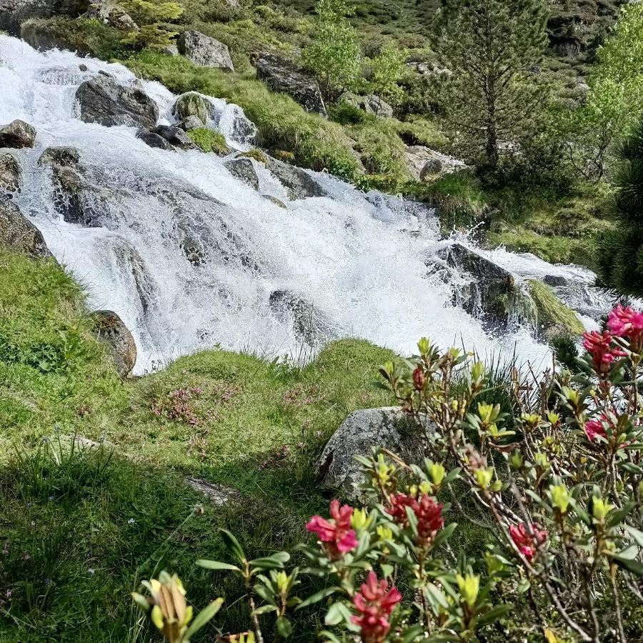 Le Balcon Des Cimes B&B Adast Екстериор снимка