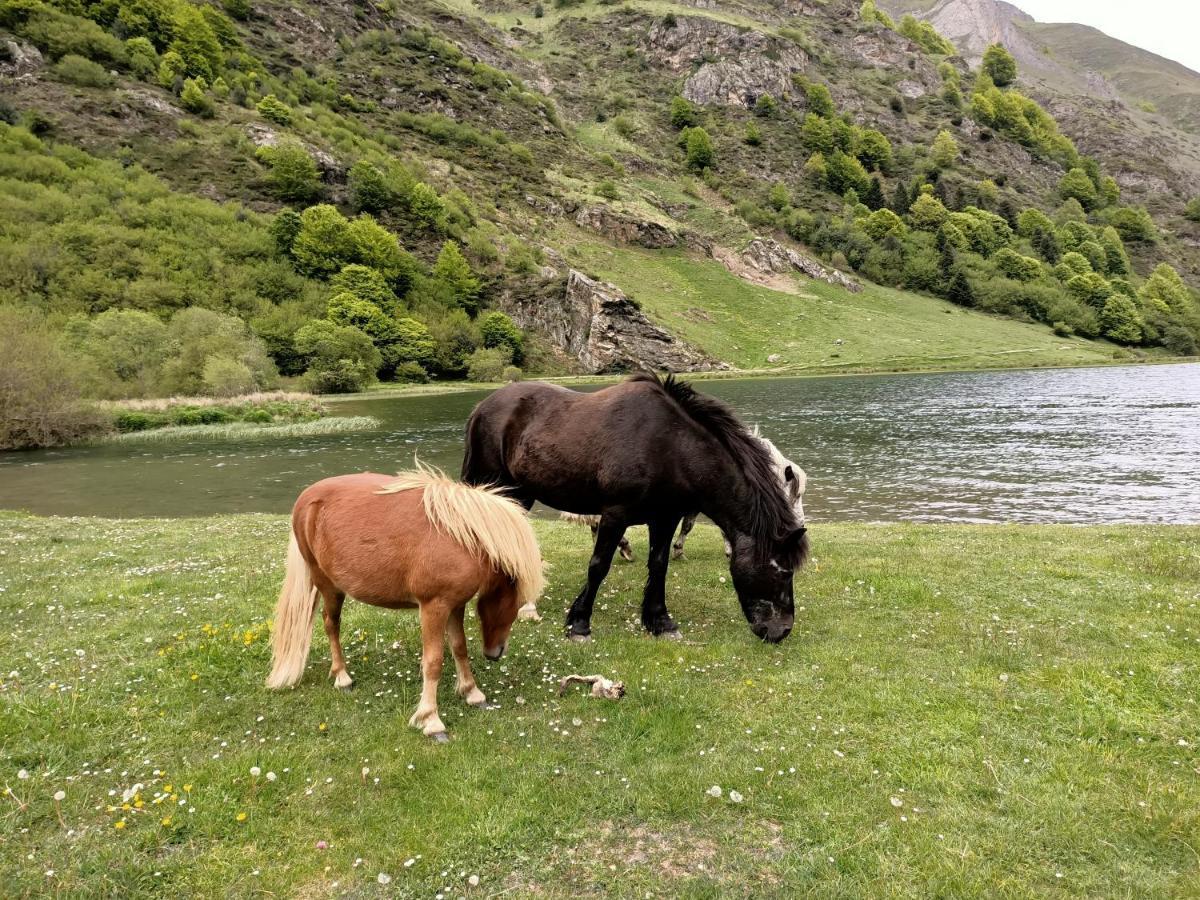 Le Balcon Des Cimes B&B Adast Екстериор снимка