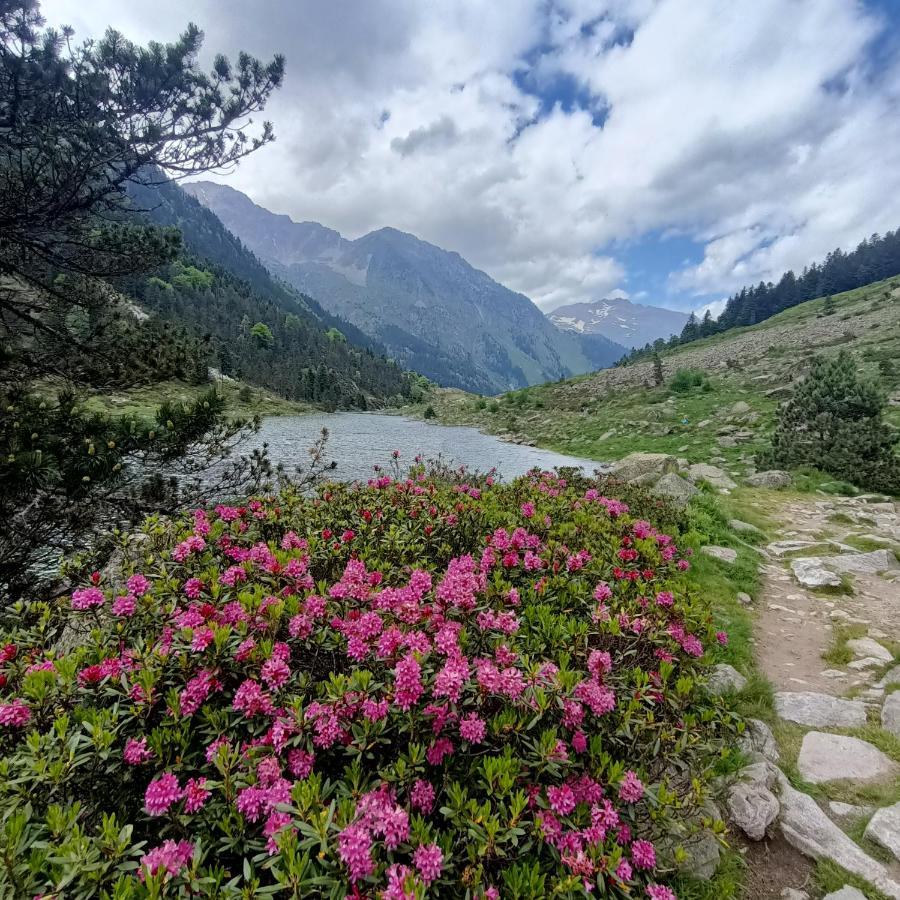 Le Balcon Des Cimes B&B Adast Екстериор снимка